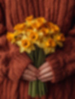 Daffodils Bouquet Held