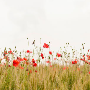 Finding Joy in Unexpected Places