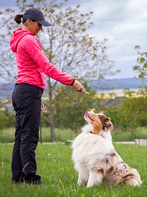 Lifeskills Dog Training Class 