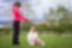 Woman training a dog