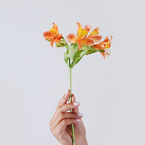 Hand Holding Flower