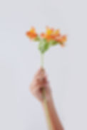 Orange Flower