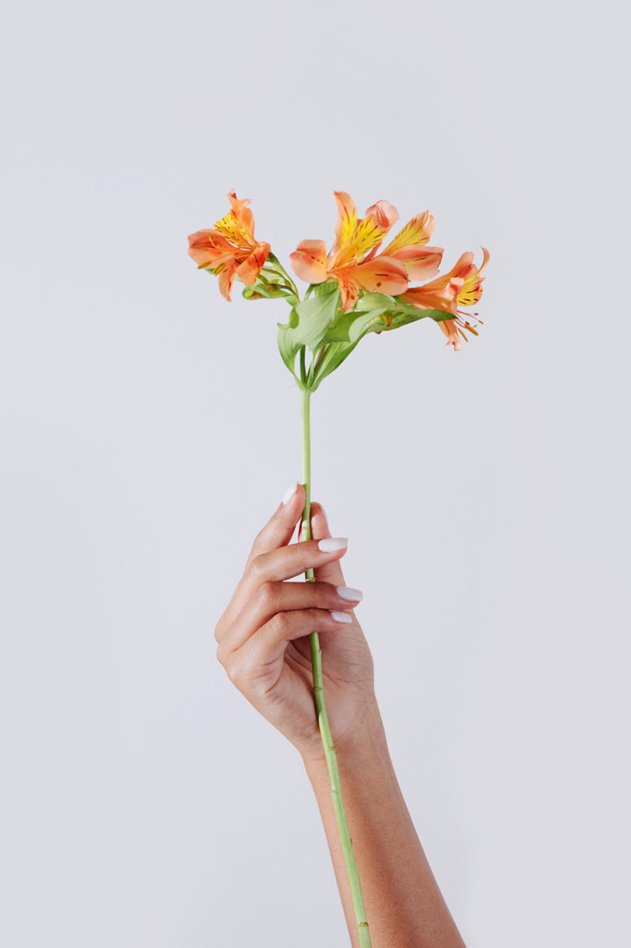 Hand Holding Flower