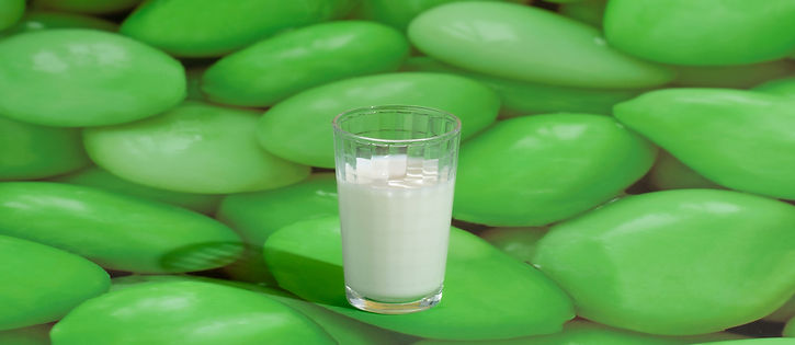 Glass Of Milk