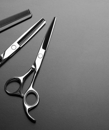 Oferecemos os melhores detalhes!