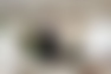 Don't Fall Victim to Toner Pirates: How to Protect Your Business from Scams