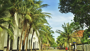 🎓 Your Guide to Getting Into Florida Colleges and Universities