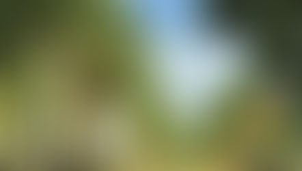 Beyond the "Year of Return": Why Ghana is West Africaâs 2026 Must-Visit Destination đŹđâš