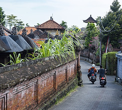 Bali view