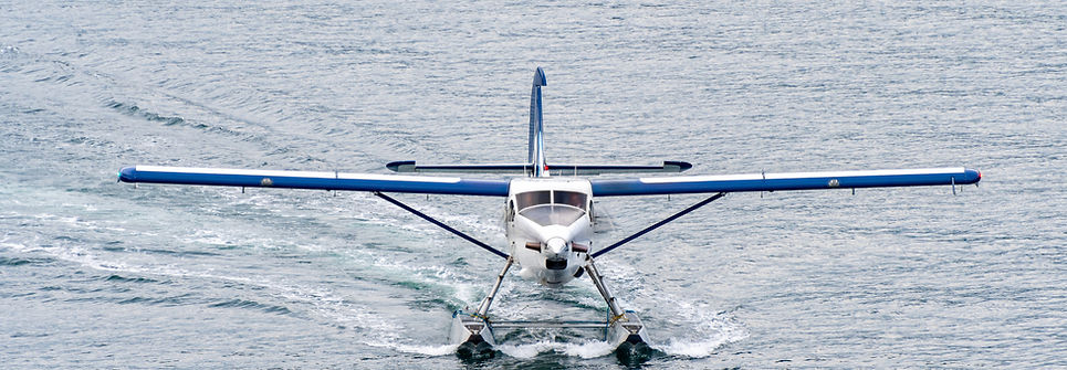 pierre-chatel-innocenti-Lk-nu_hX6ms-unsplash 2.png