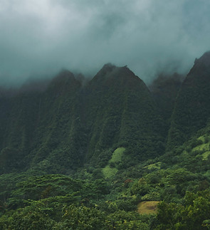 Misty Green Mountains
