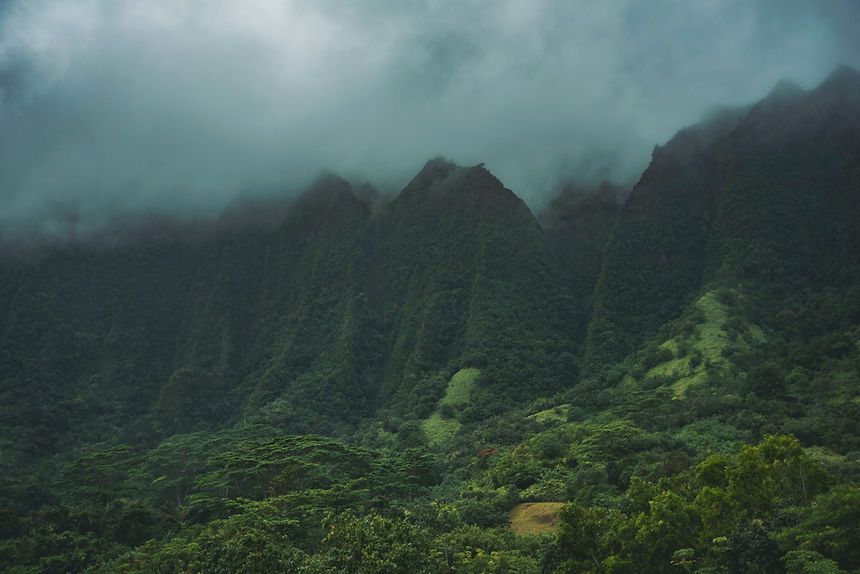 Misty Green Mountains