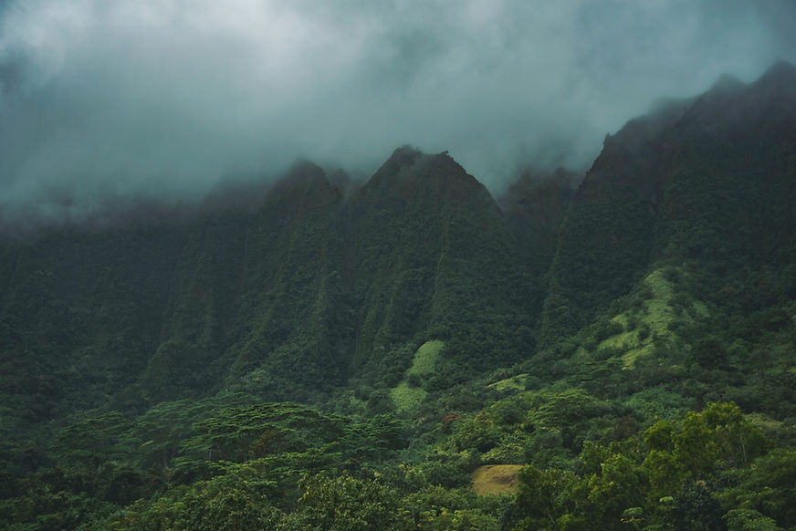Misty Green Mountains