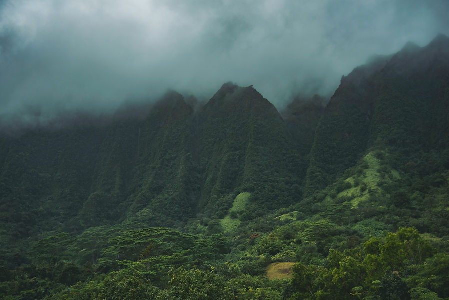 Foggy Mountains