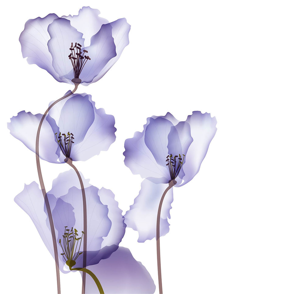 Purple Transparent Flowers