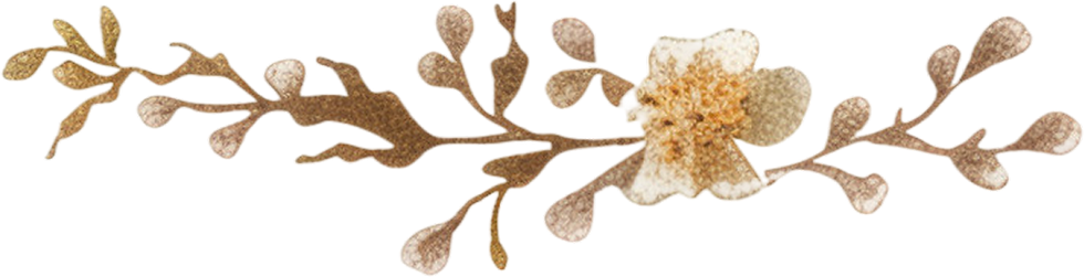 Floral Branch Design