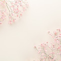 Superposición de flores rosas