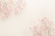 Delicate Pink Flowers