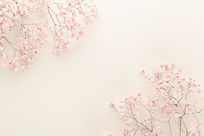 Fleurs roses délicates