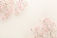 Delicate Pink Flowers