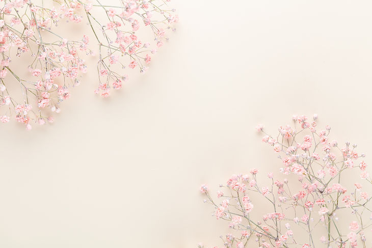 Pink Flowers Overlay