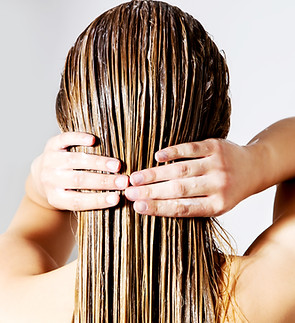 Cheveux humide