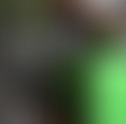 When an Empty Bottle Is Worth More Than Loose Change