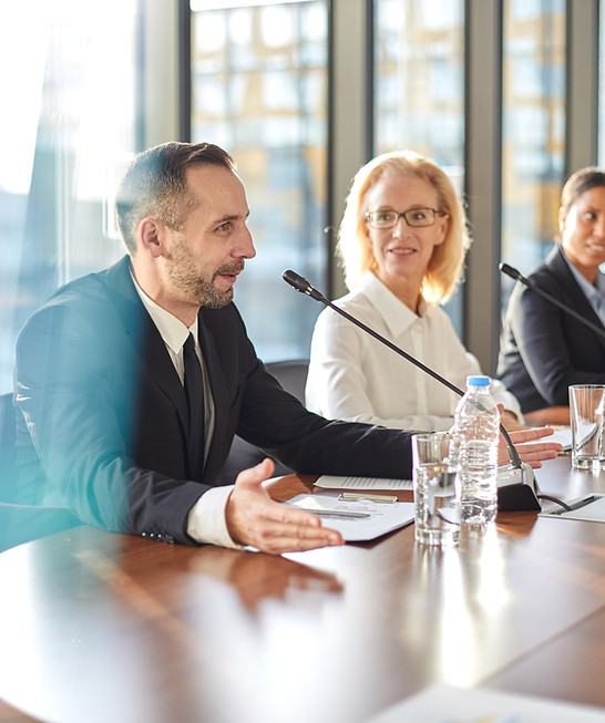 Business Meeting Panel