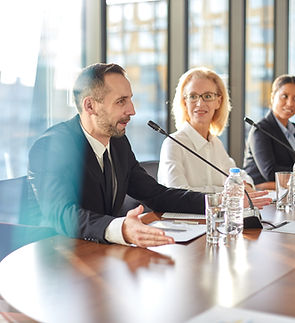 Business Meeting Panel