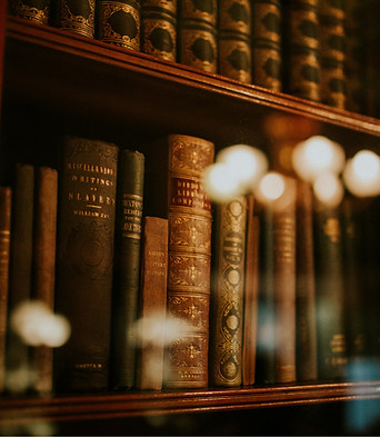 Antique Bookshelf View