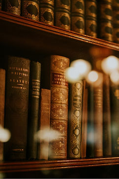 Antique Bookshelf View