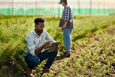 Farmer Using Tablet
