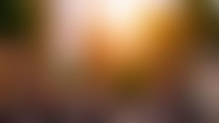 Goda nyheter: Barcelonas nya initiativ för att förbättra miljön - tre års avgiftsfria kollektivresor