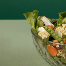 Can Dogs Eat Vegetables?