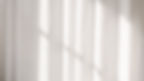 White Texture