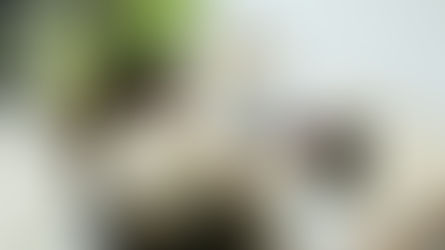 在宅勤務に関する規定が発表：JIGYOU SUPPORT STRATEGY ニュースレター