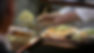 Street Food