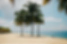 VJS Notary Public, Notary Near me, Notary Public Services in Tampa Florida