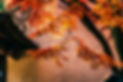 Maple Tree
