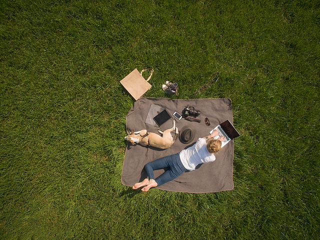 Arbeiten im Park