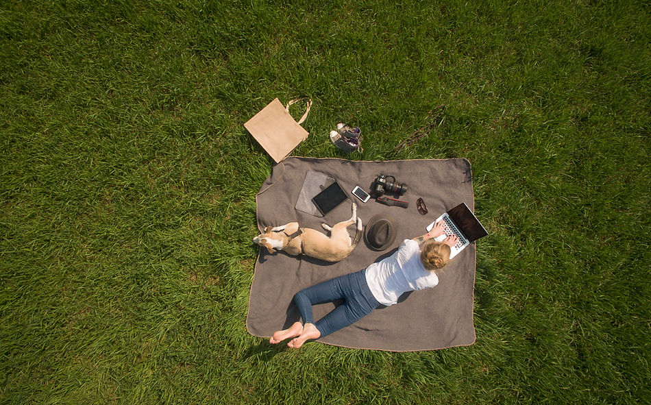 Working from the Park
