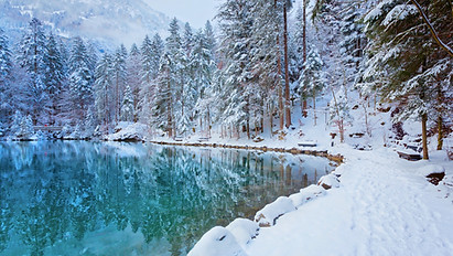 Lake in winter