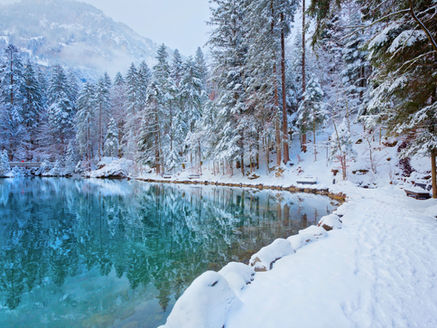 Az Arkturiai Csoport üzenete, 2022.01.30.