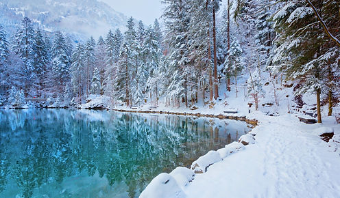 winter