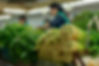 Mercado Chen Bech