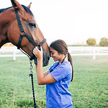 Vet Petting a Horse