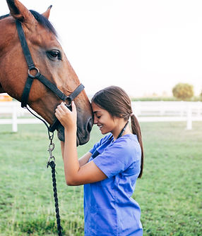 Vet Petting a Horse