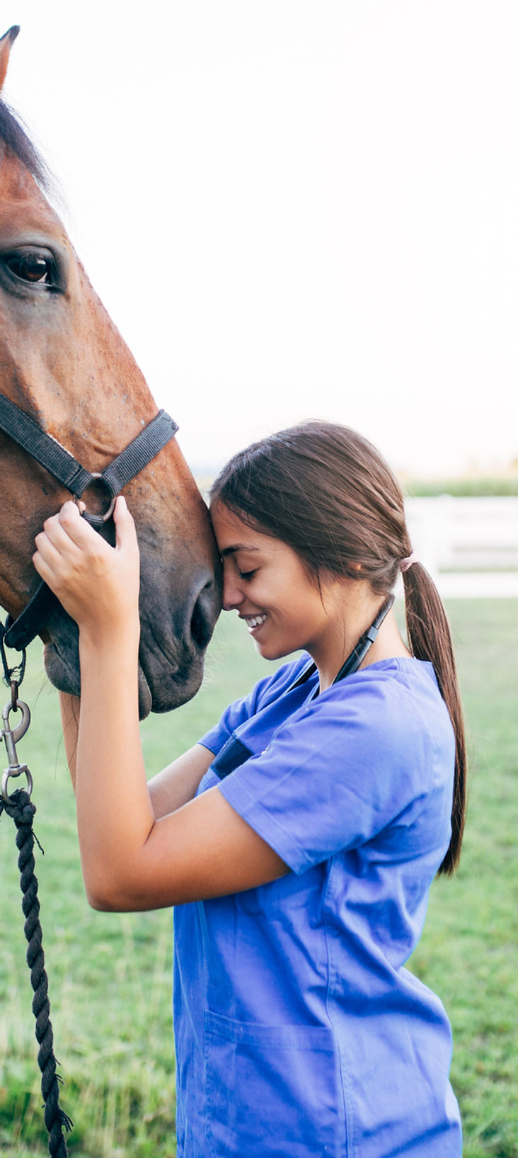 Vet Petting a Horse