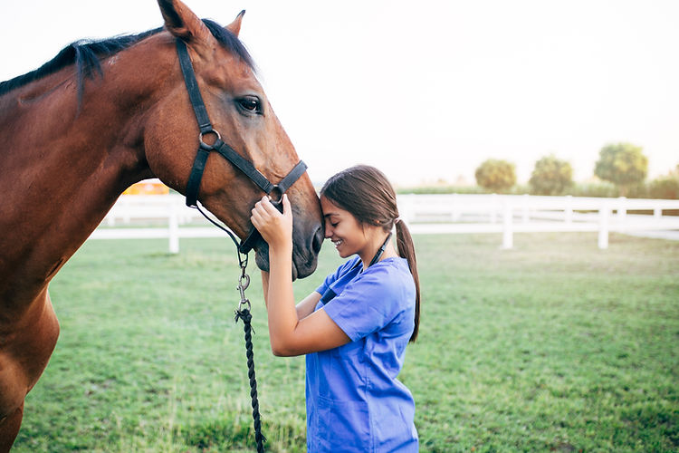 Vet Petting a Horse