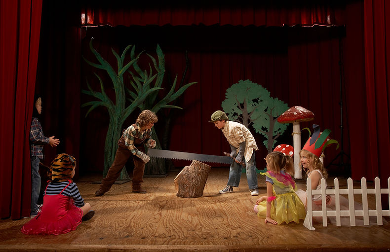 Show de niños